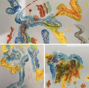 Little Laurelhurst Preschool - Child's Finger Paint Art